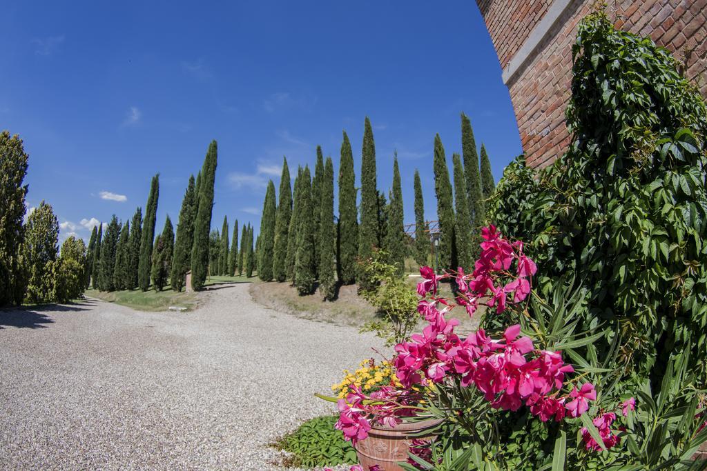 מונטרוני ד'ארביה Agriturismo Sant'Alfredo מראה חיצוני תמונה